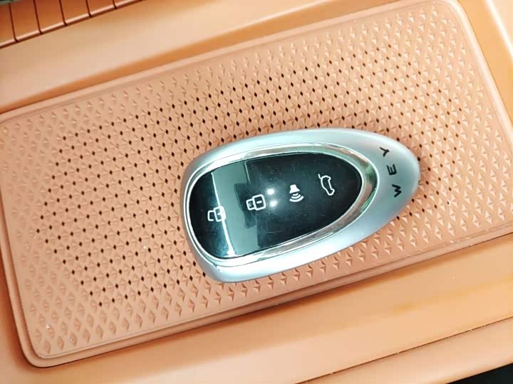 Фото 9 - Wey Lanshan