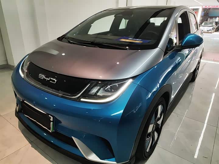 Фото 1 - BYD Dolphin