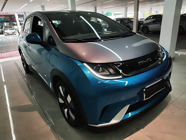 Фото 4 - BYD Dolphin