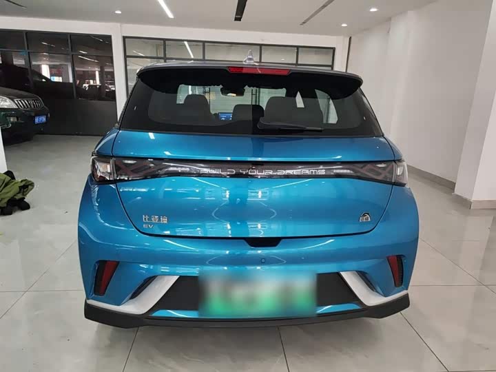 Фото 6 - BYD Dolphin