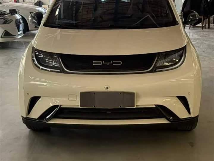 Фото 1 - BYD Dolphin
