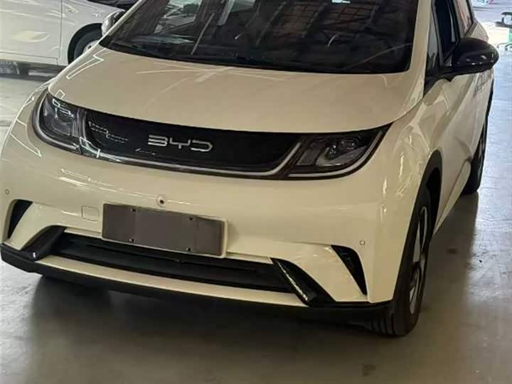 Фото 2 - BYD Dolphin