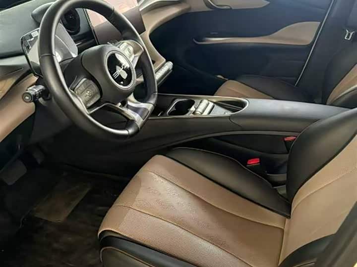 Фото 4 - BYD Dolphin