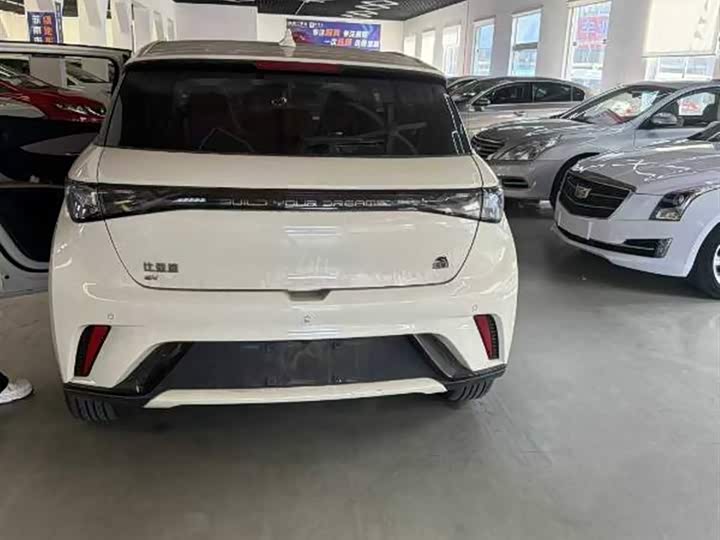 Фото 5 - BYD Dolphin