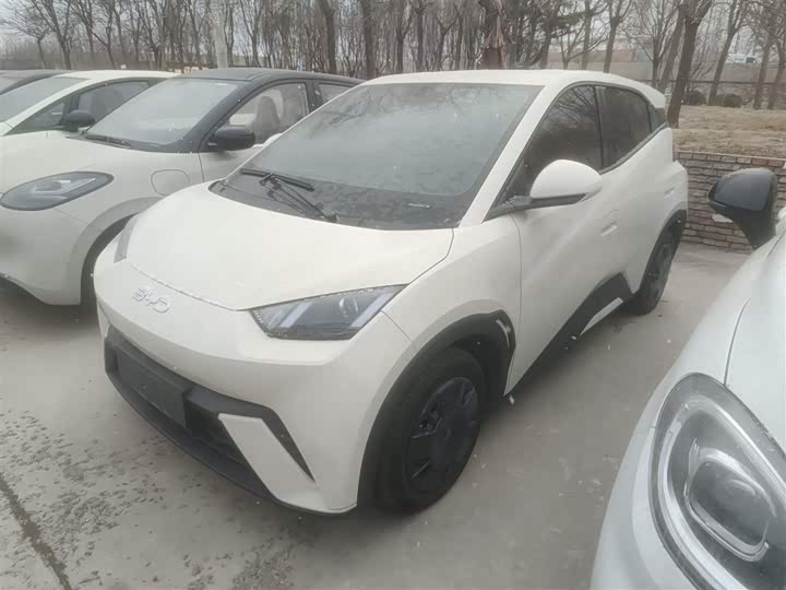 Фото 1 - BYD Seagull