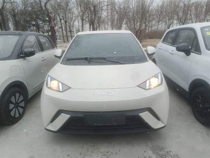 Фото 3 - BYD Seagull