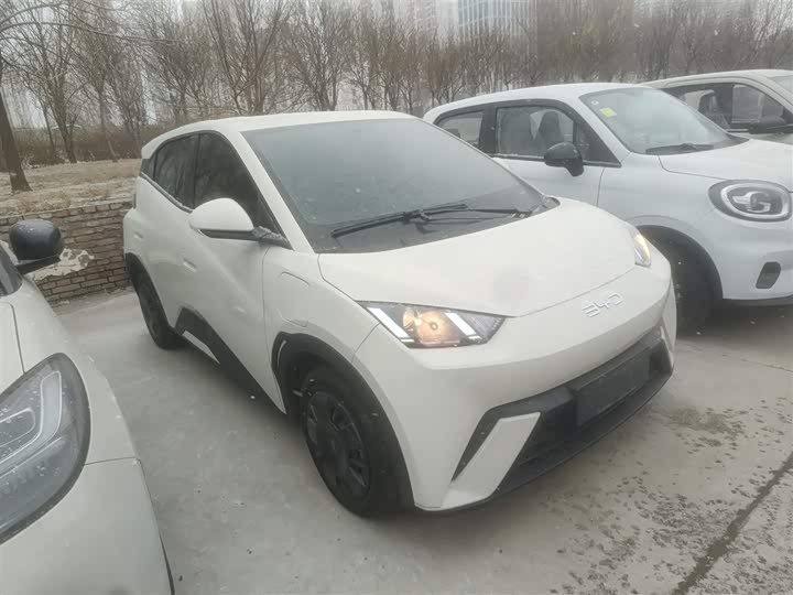 Фото 4 - BYD Seagull