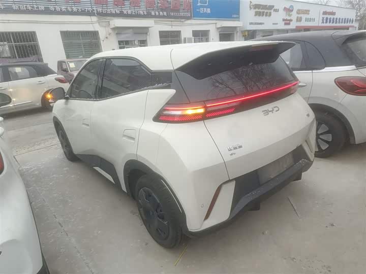 Фото 5 - BYD Seagull