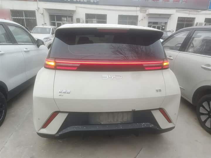 Фото 6 - BYD Seagull