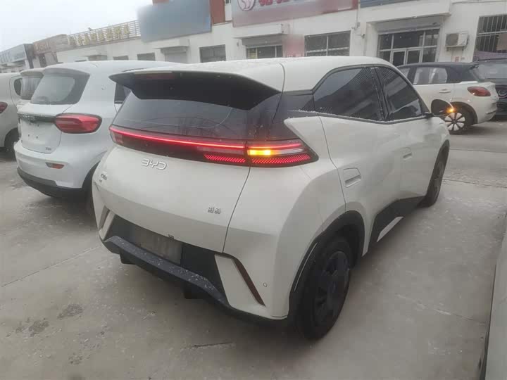 Фото 7 - BYD Seagull