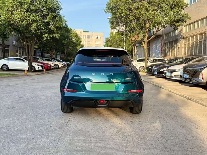 Фото 4 - Ora Good Cat (03)