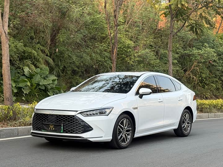 Фото 1 - BYD Qin Plus