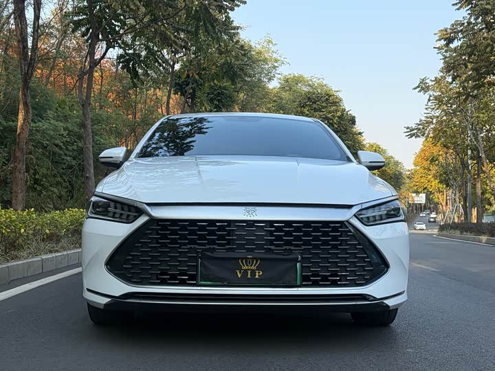 Фото 2 - BYD Qin Plus