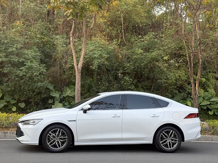 Фото 3 - BYD Qin Plus