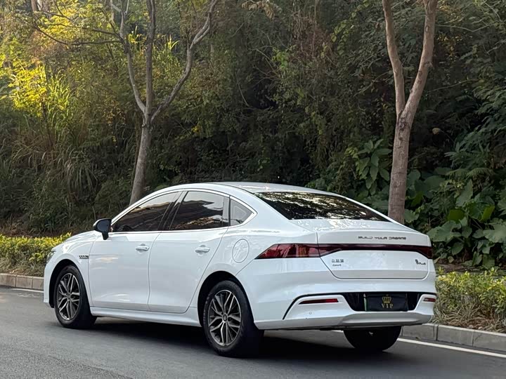 Фото 4 - BYD Qin Plus