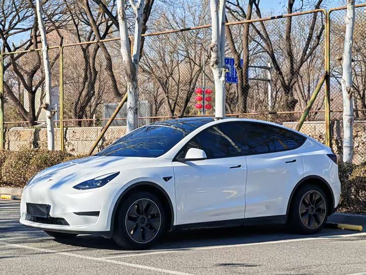 Фото 1 - Tesla Model Y