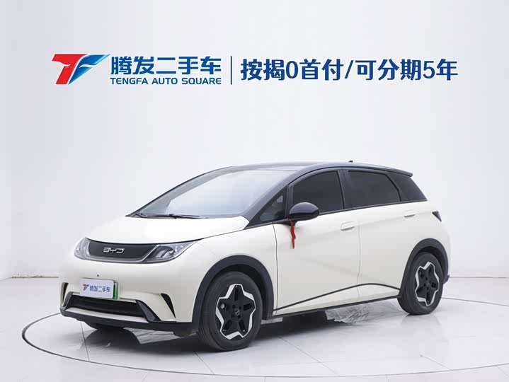 Фото 1 - BYD Dolphin