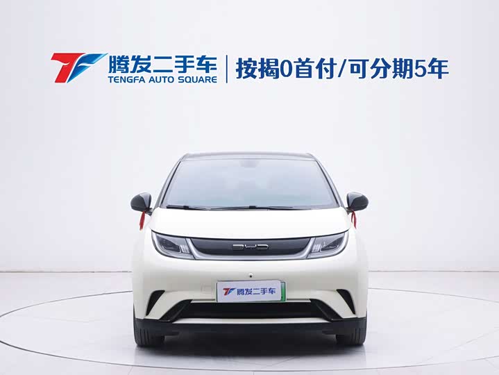 Фото 2 - BYD Dolphin