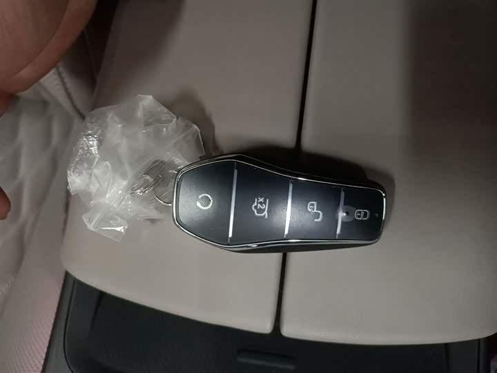 Фото 9 - BYD Han