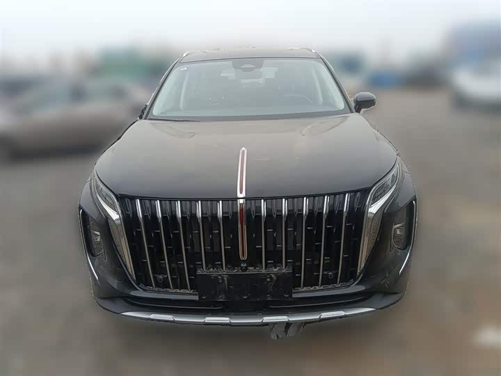 Фото 5 - Hongqi HS7 Hybrid