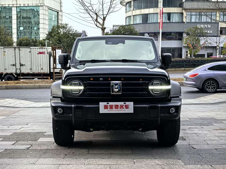 Фото 2 - Tank 300