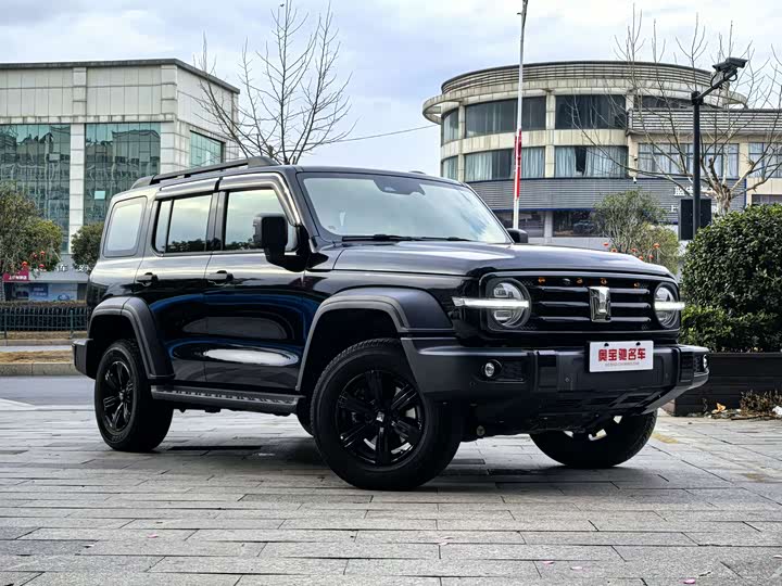 Фото 3 - Tank 300