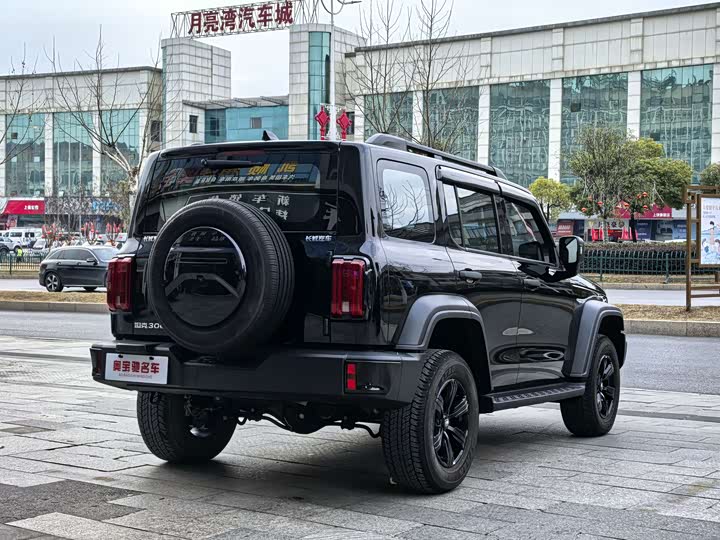 Фото 4 - Tank 300