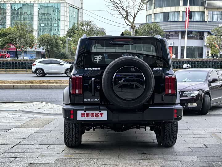 Фото 5 - Tank 300