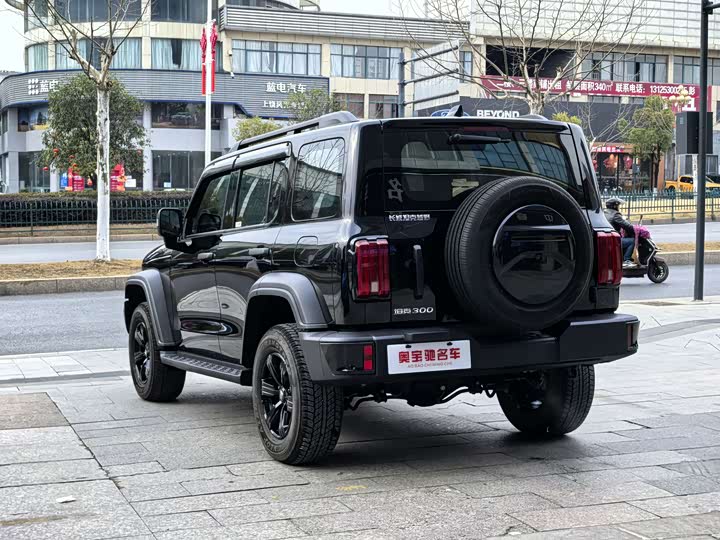 Фото 6 - Tank 300