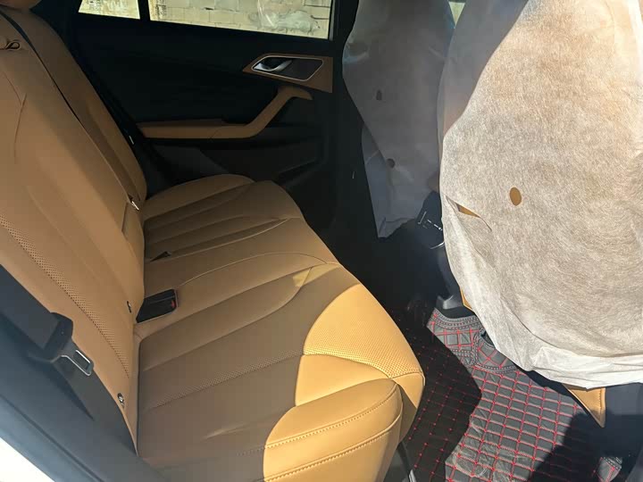 Фото 9 - Roewe RX5