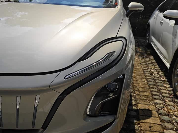 Фото 5 - Hongqi E-QM5