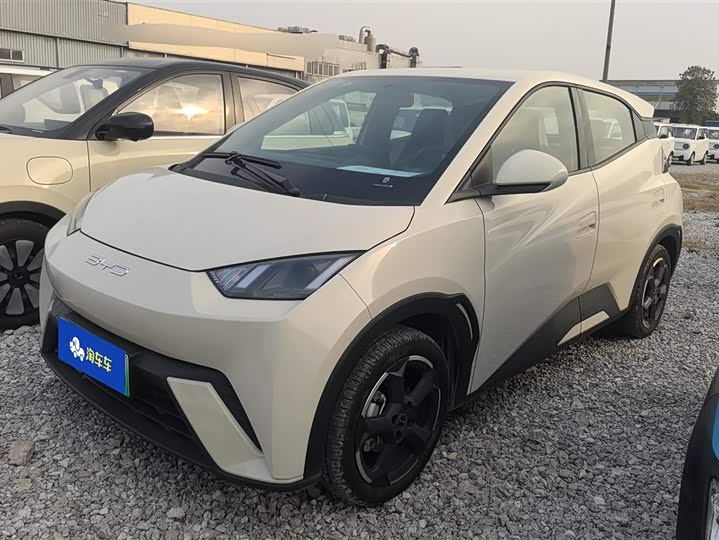 Фото 1 - BYD Seagull