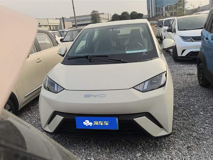 Фото 2 - BYD Seagull