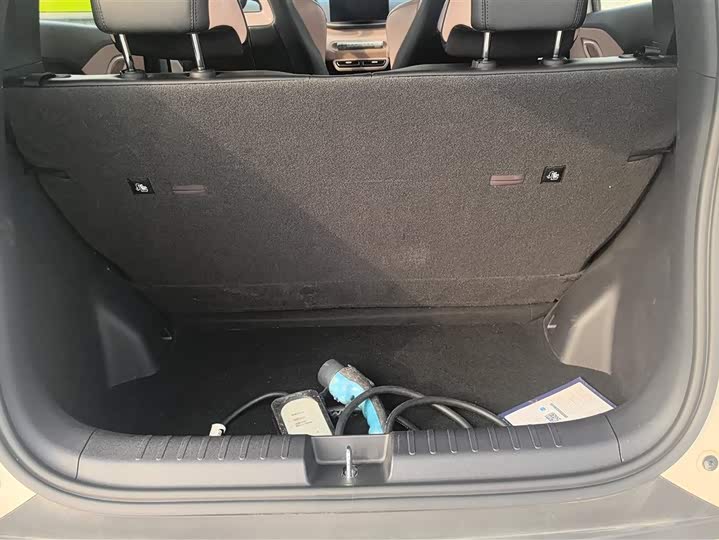 Фото 4 - BYD Seagull