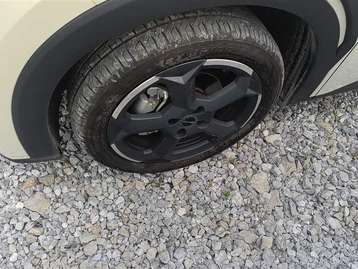 Фото 6 - BYD Seagull