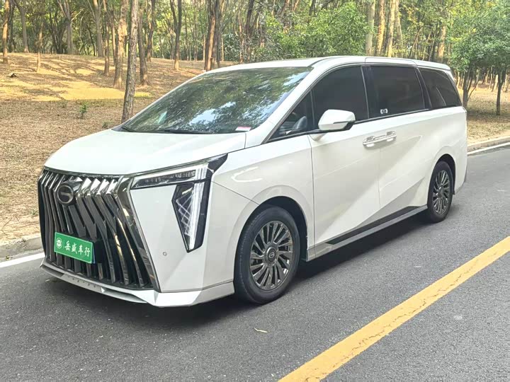 Фото 1 - GAC Trumpchi M8