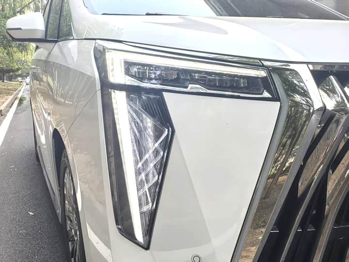 Фото 4 - GAC Trumpchi M8