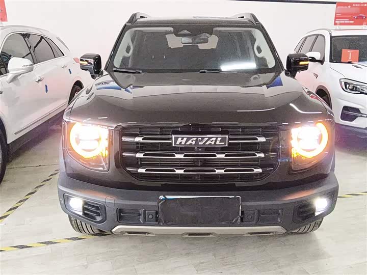 Фото 3 - Haval Dargo