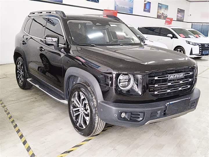 Фото 4 - Haval Dargo