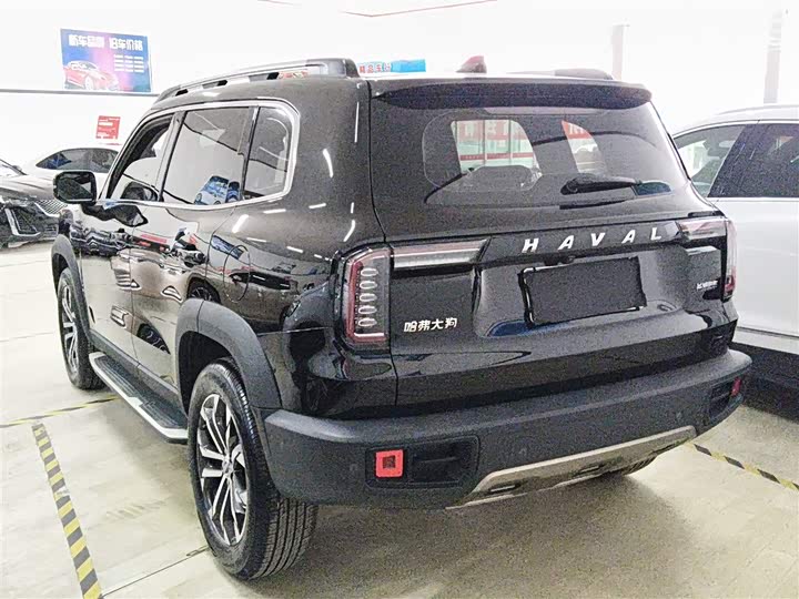 Фото 5 - Haval Dargo