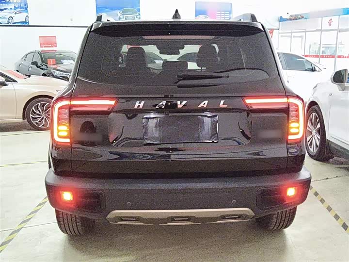 Фото 6 - Haval Dargo