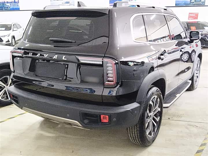 Фото 7 - Haval Dargo