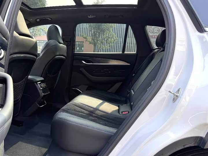 Фото 5 - Geely Monjaro