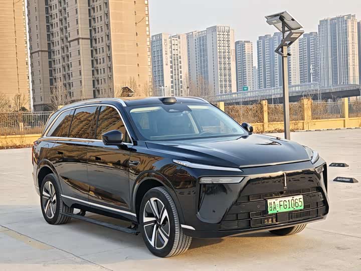 Фото 3 - Wey Lanshan