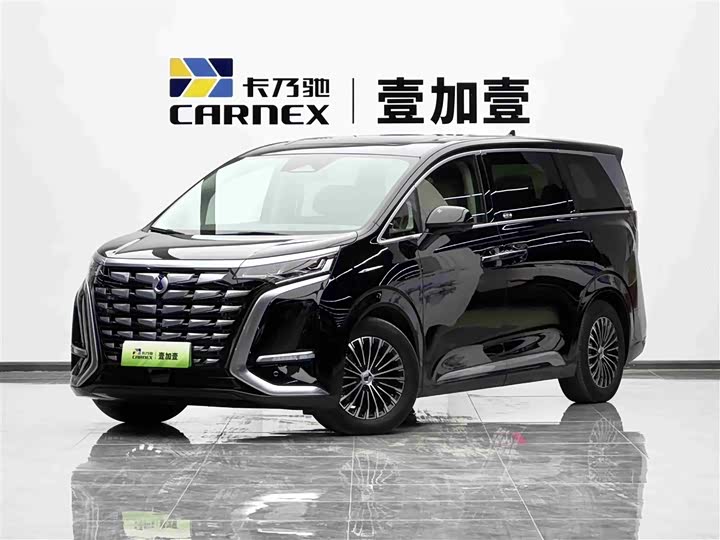 Фото 1 - Denza D9