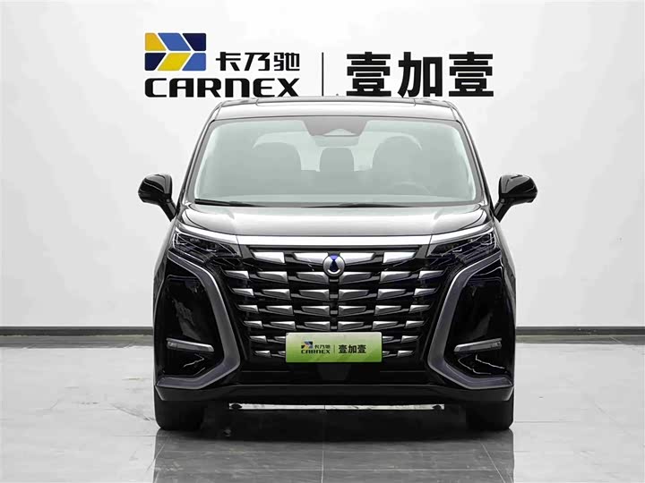 Фото 2 - Denza D9