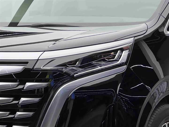 Фото 3 - Denza D9