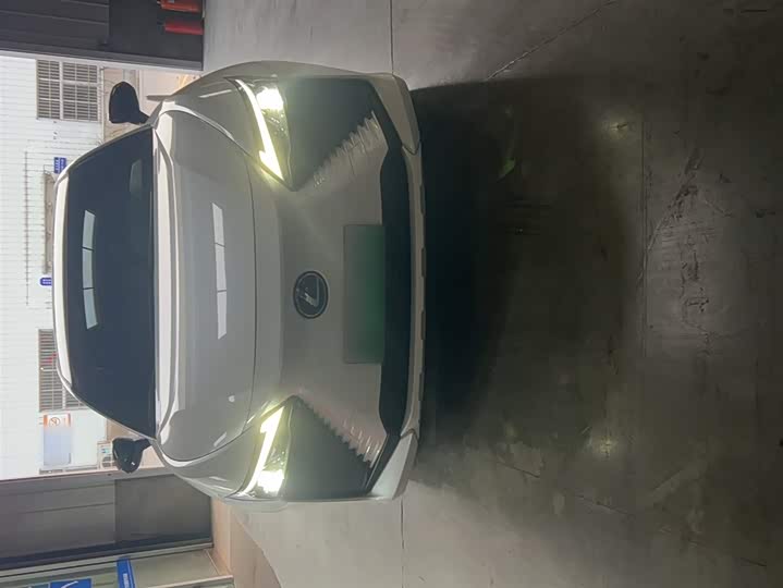 Фото 6 - Lexus RZ