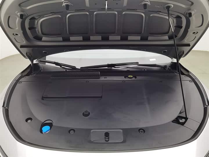 Фото 6 - XPeng F57