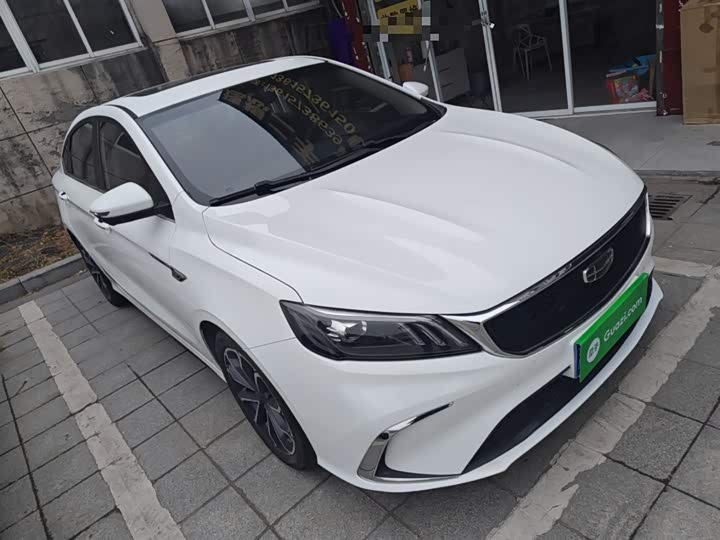 Фото 4 - Geely Binrui